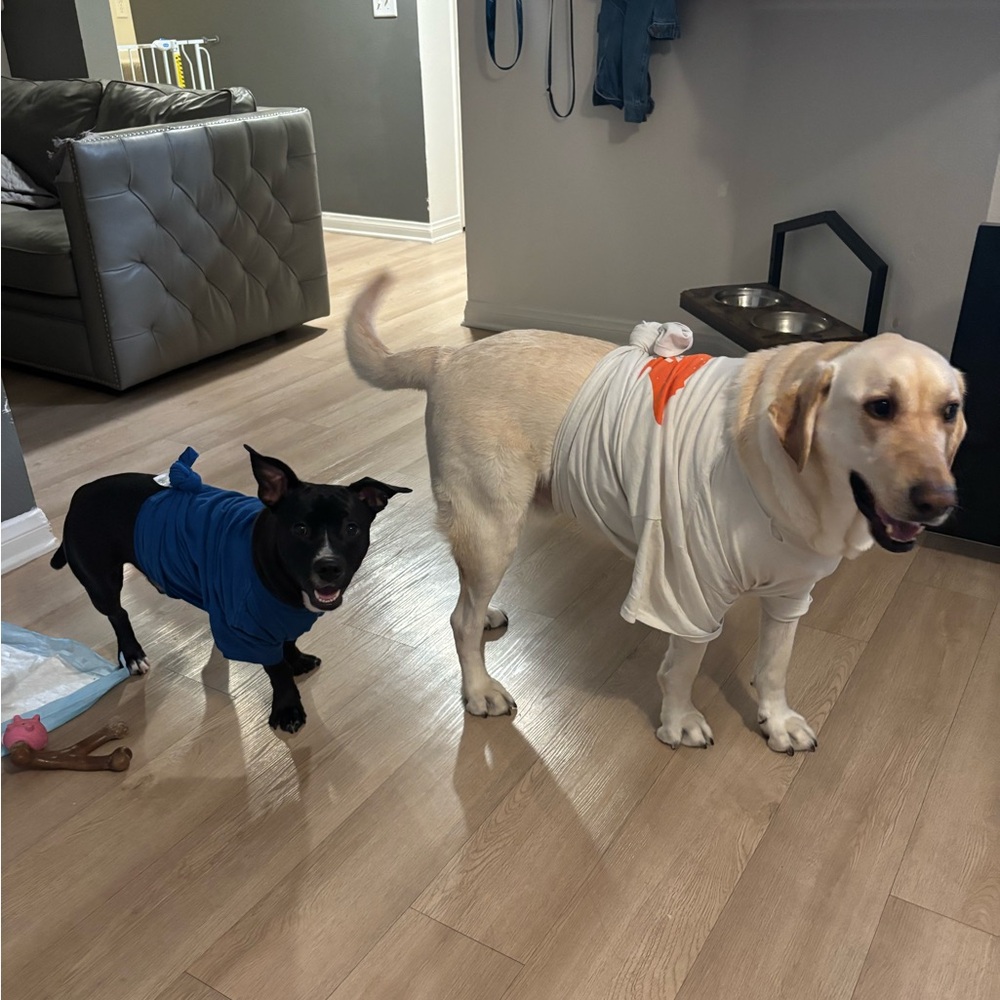 Meet your Posher, Cristina